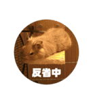 毎日使える！可愛いデグーのスタンプ2（個別スタンプ：26）