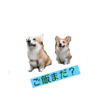 ダイキとサイ2回目（個別スタンプ：6）