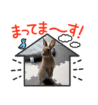 ♡ラテのスタンプ♡（個別スタンプ：5）