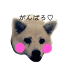ぼー 敬語（個別スタンプ：8）
