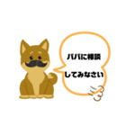 しば犬 ジュリー（個別スタンプ：4）