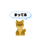 しば犬 ジュリー（個別スタンプ：6）