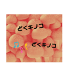 キノコ様の会話（個別スタンプ：15）