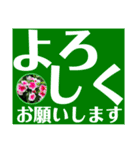 デカ文字日日草（個別スタンプ：25）