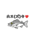 ヒラマサ魚スタンプ②（個別スタンプ：7）