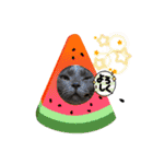 はぎも3ニャンズ（個別スタンプ：5）