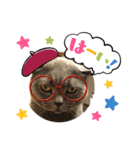 はぎも3ニャンズ（個別スタンプ：9）