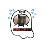 はぎも3ニャンズ（個別スタンプ：22）
