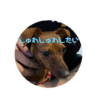 モハメド・レオ2（個別スタンプ：3）