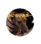 モハメド・レオ2（個別スタンプ：7）