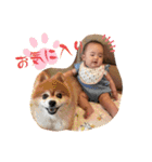 AOSTA_2（個別スタンプ：10）