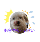 ♡れいくんスタンプ♡（個別スタンプ：4）
