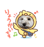 ♡れいくんスタンプ♡（個別スタンプ：8）