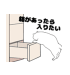 白ねこの日常1（個別スタンプ：20）