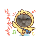 うちの猫ちゃん＆うちの犬（個別スタンプ：6）