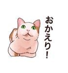 友達ん家の猫ちゃん（個別スタンプ：4）