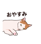 友達ん家の猫ちゃん（個別スタンプ：6）