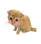 はちみつねこすたんぷ（個別スタンプ：2）