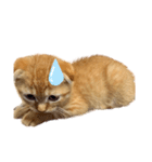 はちみつねこすたんぷ（個別スタンプ：3）