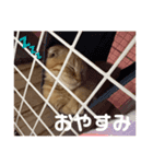 はちみつねこすたんぷ（個別スタンプ：8）