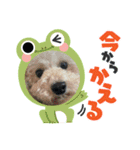 マルプーれまちゃん（個別スタンプ：2）