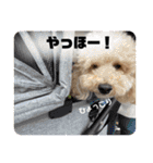 くれもこあ5兄弟に！（個別スタンプ：3）