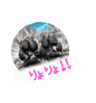 くれもこあ5兄弟に！（個別スタンプ：12）