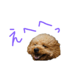 くれもこあ5兄弟に！（個別スタンプ：23）