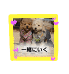 くれもこあ5兄弟に！（個別スタンプ：26）