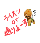 くれもこあ5兄弟に！（個別スタンプ：40）