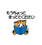 元気なにゃにまる（個別スタンプ：3）