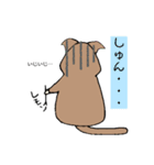 猫になりたい私（個別スタンプ：13）