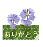 礼文の花(自由文字スタンプ) vol.1（個別スタンプ：4）