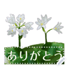 礼文の花(自由文字スタンプ) vol.1（個別スタンプ：5）