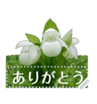 礼文の花(自由文字スタンプ) vol.1（個別スタンプ：8）