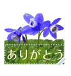 礼文の花(自由文字スタンプ) vol.1（個別スタンプ：9）