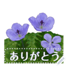 礼文の花(自由文字スタンプ) vol.1（個別スタンプ：10）