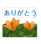 礼文の花(自由文字スタンプ) vol.1（個別スタンプ：15）