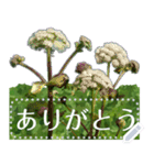 礼文の花(自由文字スタンプ) vol.1（個別スタンプ：18）