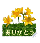 礼文の花(自由文字スタンプ) vol.1（個別スタンプ：20）