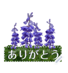 礼文の花(自由文字スタンプ) vol.1（個別スタンプ：23）