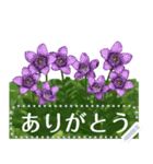 礼文の花(自由文字スタンプ) vol.1（個別スタンプ：24）