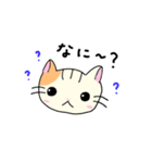 日常で使いやすいゆるねこ（個別スタンプ：30）