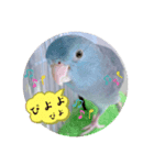 マメルリハのリルちゃん7（個別スタンプ：2）