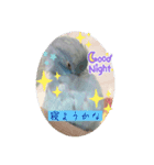 マメルリハのリルちゃん7（個別スタンプ：6）