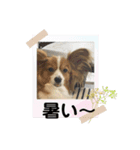 鈴、忍挨拶スタンプ（個別スタンプ：2）