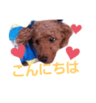 トイプのマロン（個別スタンプ：3）