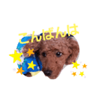 トイプのマロン（個別スタンプ：4）