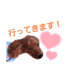 トイプのマロン（個別スタンプ：7）