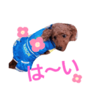 トイプのマロン（個別スタンプ：13）